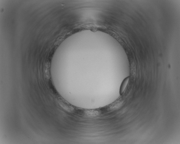 X0000071780234200606300925