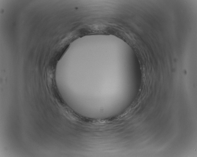 X0000071780235200606300925