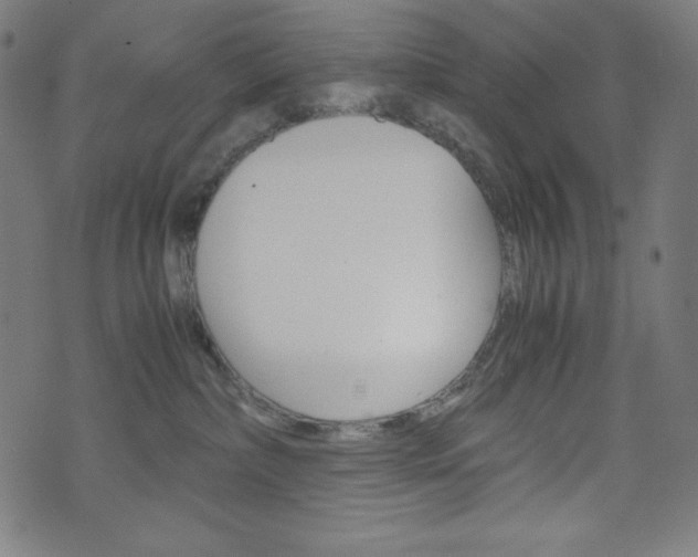 X0000071780236200606300925