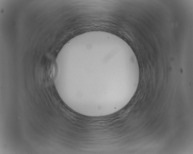 X0000071780237200606300925