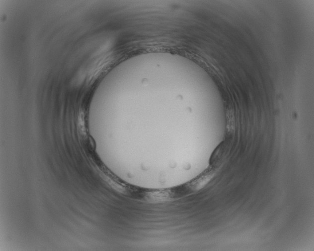 X0000071780238200606300925