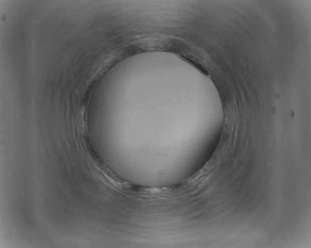 X0000071780239200606300925