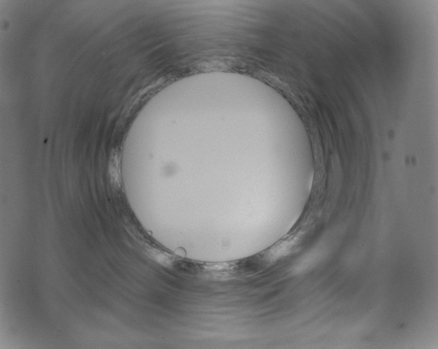 X0000071780240200606300925