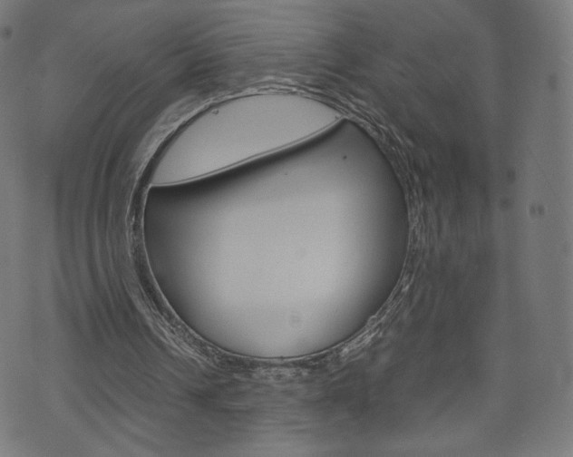 X0000071780242200606300924