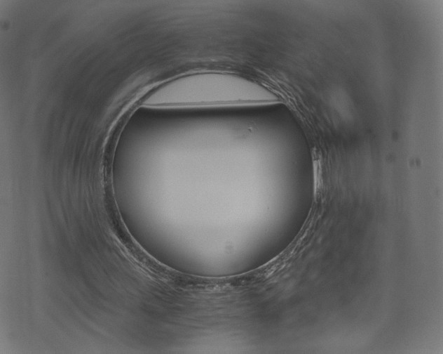 X0000071780243200606300924