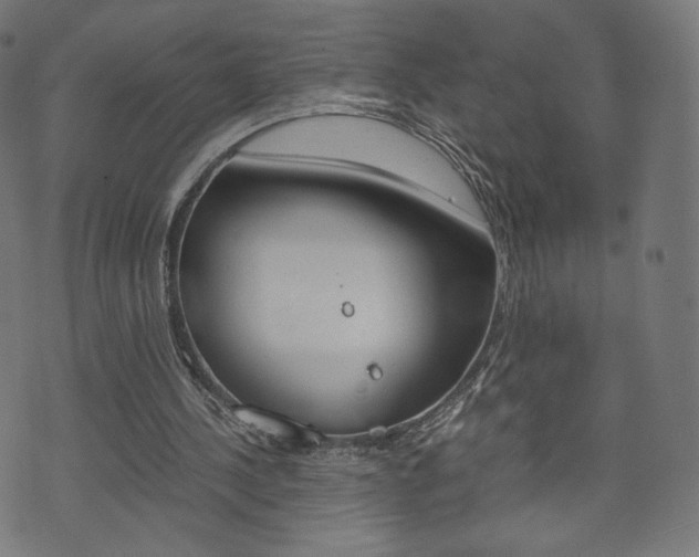 X0000071780244200606300924