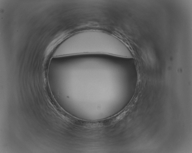 X0000071780245200606300924