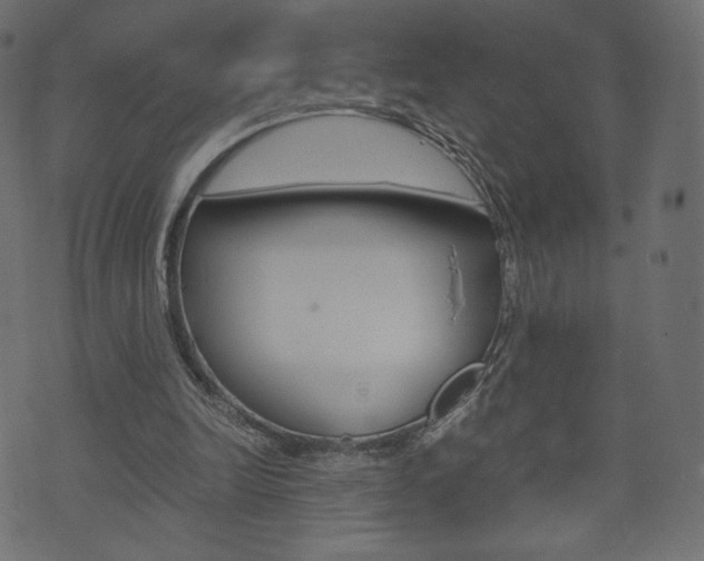 X0000071780246200606300924