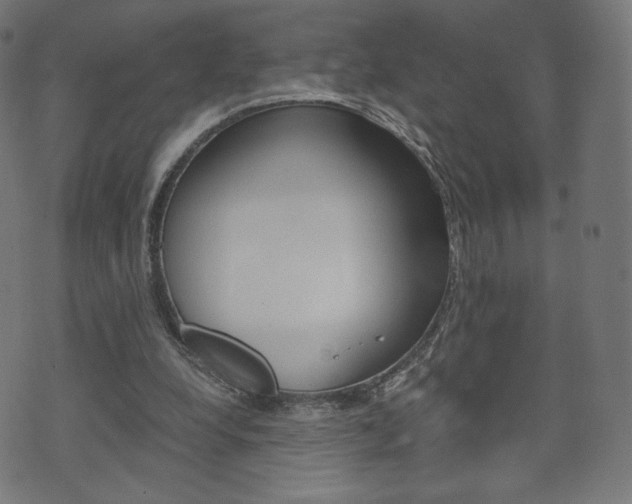 X0000071780248200606300924