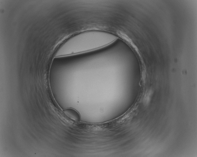 X0000071780249200606300924