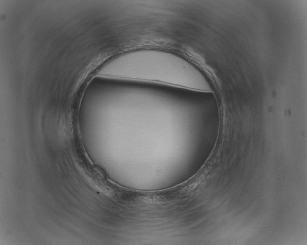 X0000071780250200606300924