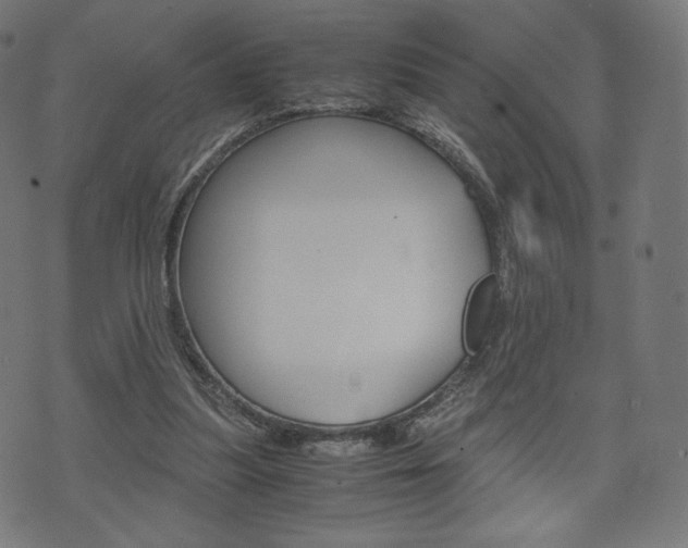 X0000071780251200606300924