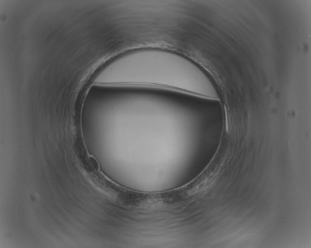 X0000071780252200606300924