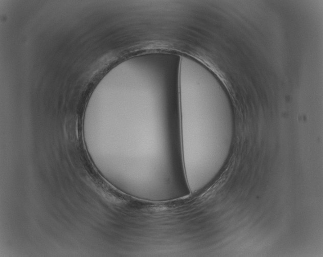 X0000071780253200606300924