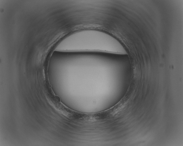 X0000071780254200606300924