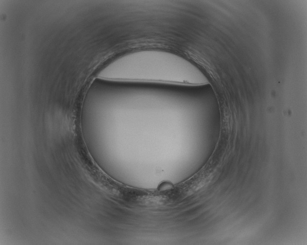 X0000071780255200606300924