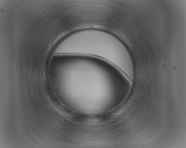 X0000071780256200606300924