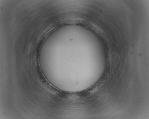 X0000071780258200606300924