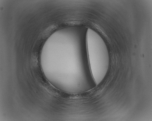 X0000071780259200606300924