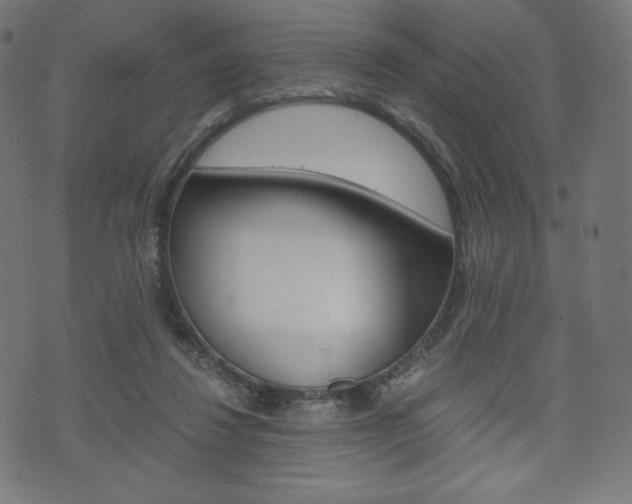 X0000071780260200606300924