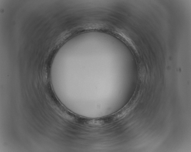 X0000071780261200606300924