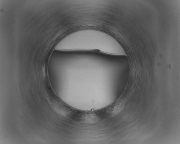 X0000071780262200606300924