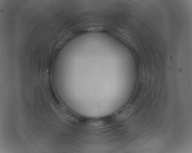 X0000071780263200606300924