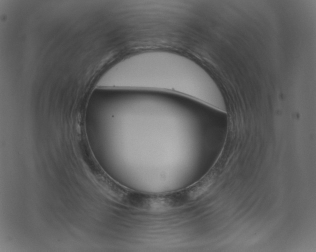 X0000071780264200606300924