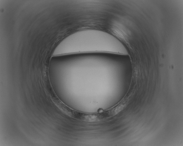 X0000071780265200606300924