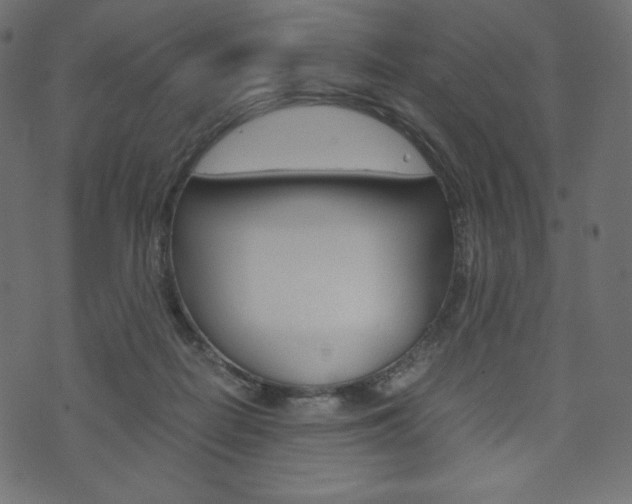 X0000071780266200606300924