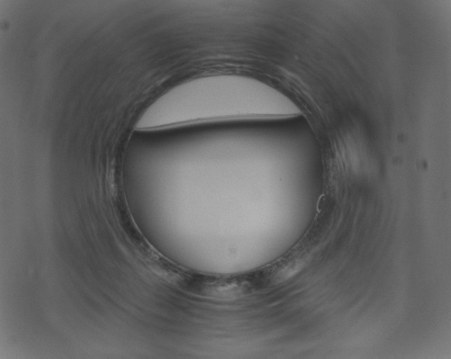 X0000071780267200606300924