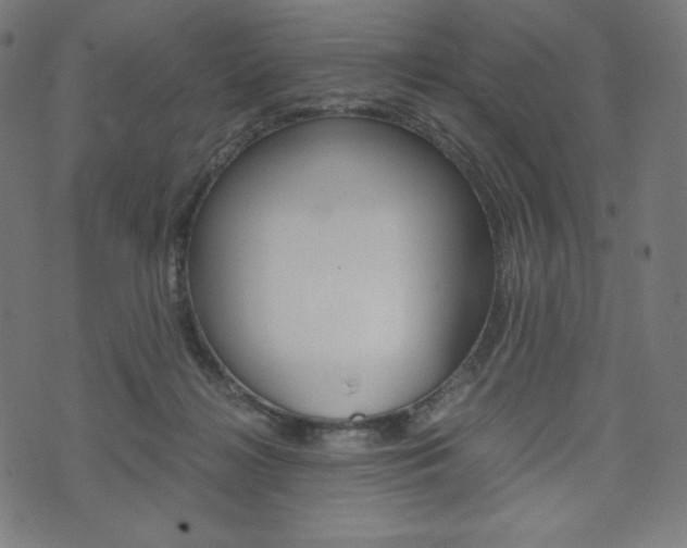 X0000071780268200606300924