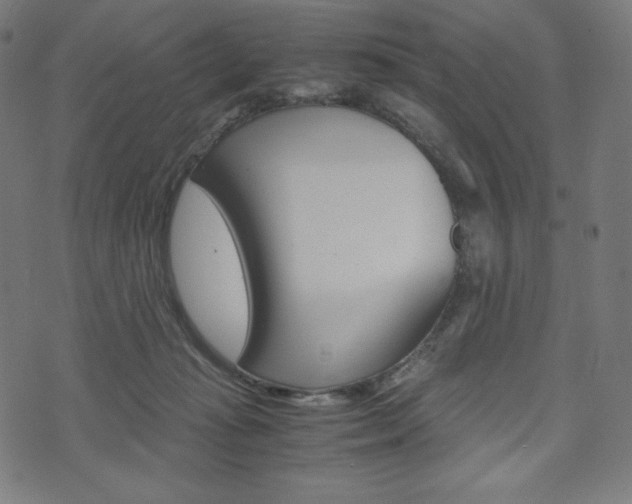 X0000071780269200606300924