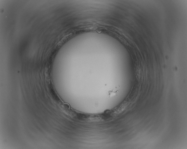 X0000071780270200606300924