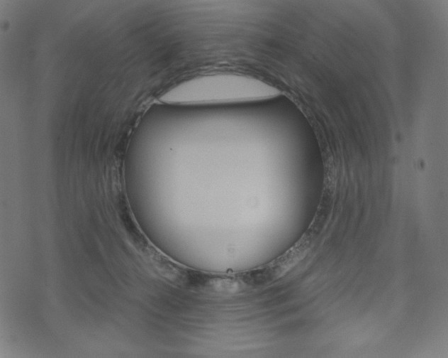 X0000071780272200606300924