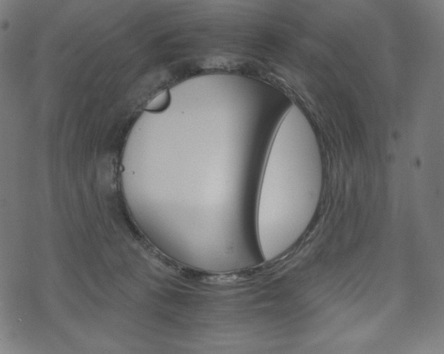 X0000071780273200606300924