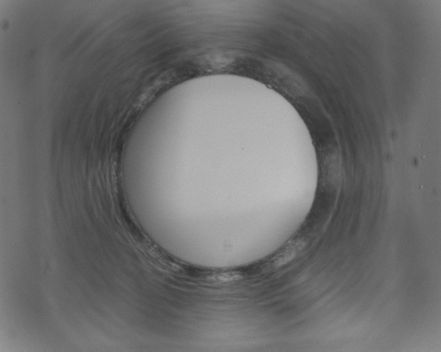 X0000071780274200606300924