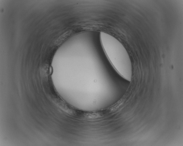 X0000071780275200606300924