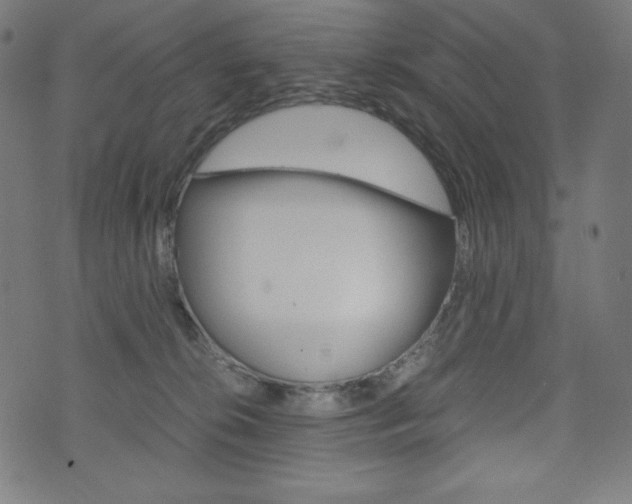 X0000071780276200606300924