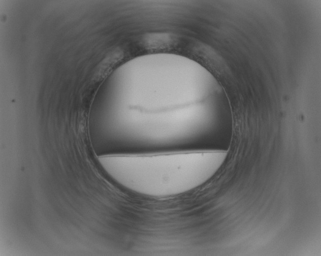 X0000071780277200606300924