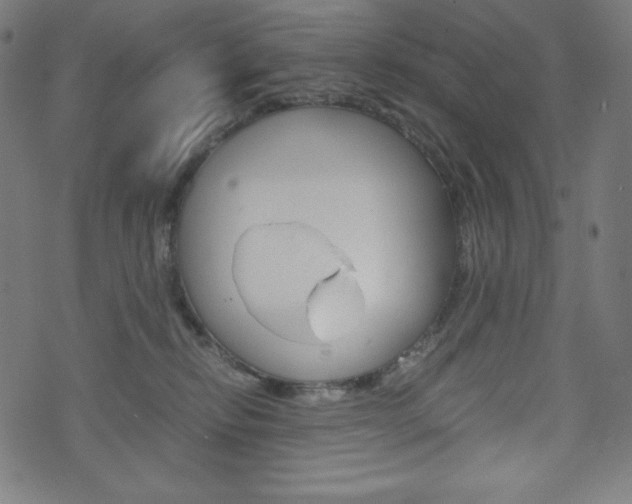 X0000071780278200606300924