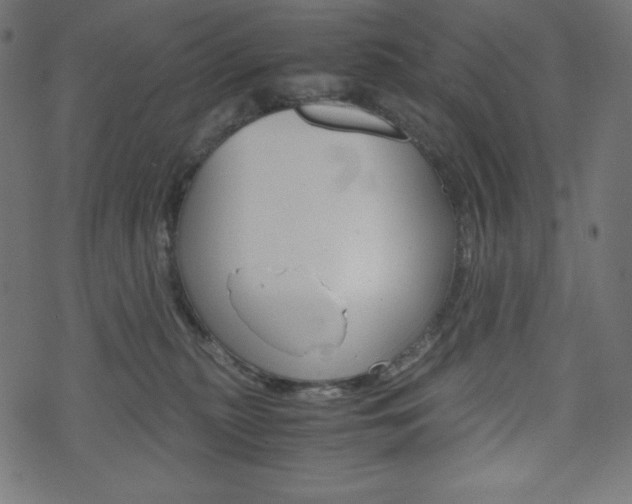 X0000071780279200606300924