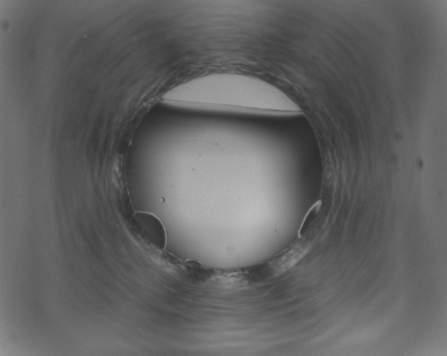 X0000071780280200606300924