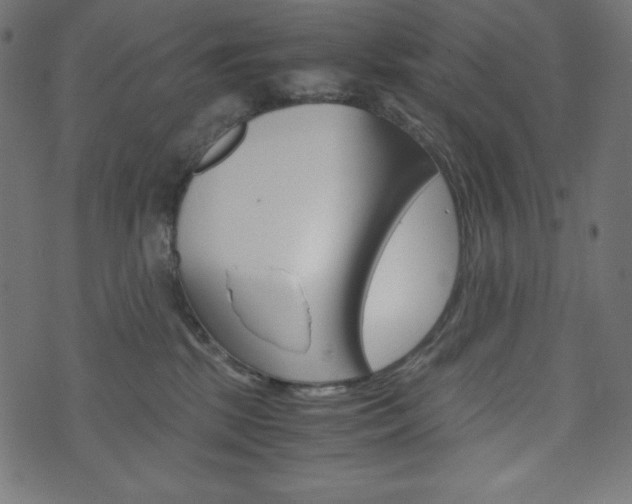 X0000071780281200606300924