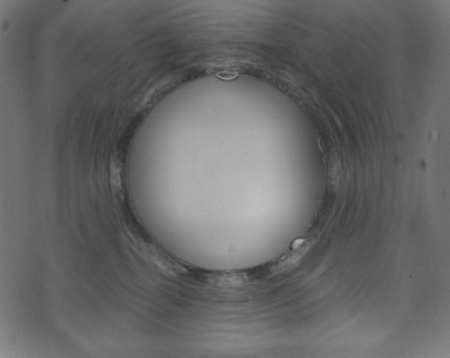 X0000071780282200606300924