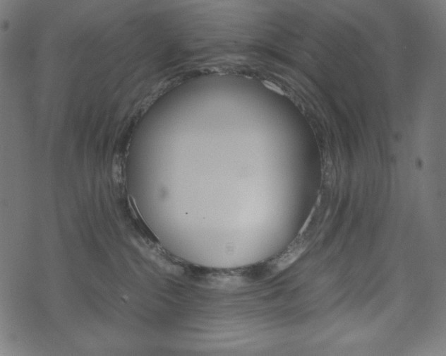 X0000071780284200606300924