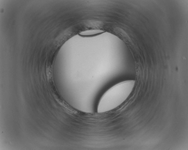 X0000071780285200606300924