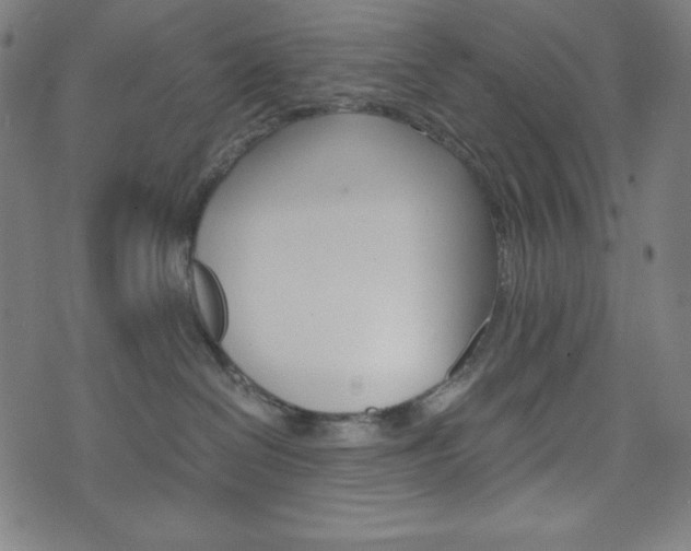 X0000071780286200606300924