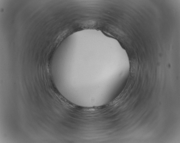 X0000071780287200606300925