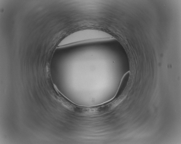 X0000071780288200606300925